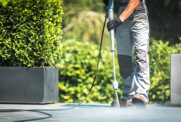 Best Warehouse Cleaning  in Reinholds, PA