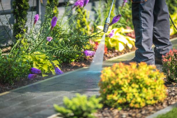 Best Gas Station Cleaning  in Reinholds, PA