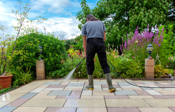 Best Fence Cleaning  in Reinholds, PA