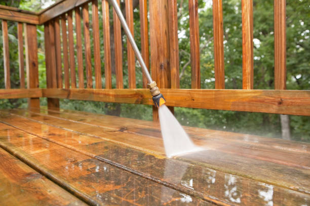 Animal Enclosure Cleaning in Reinholds, PA